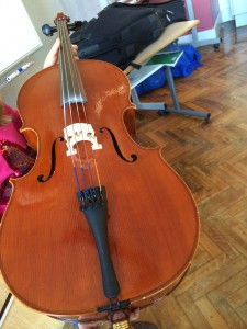 violoncelle allongé